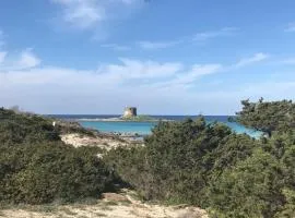 Casa Vacanze Margherita