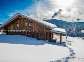 Chalet Harmony, Liézey - Gérardmer 9p - Spa