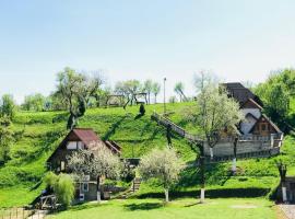 Pensiunea La Domnița, huisdiervriendelijk hotel in Poienile Izei