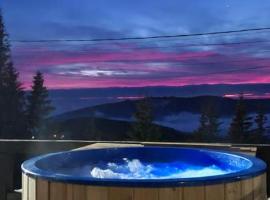 Pensiunea Alpin SPA, hotel con estacionamiento en Ranca