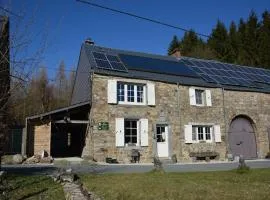 Holiday home in Viroinval with sauna