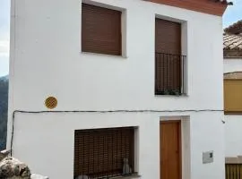 Estudi d art i natura