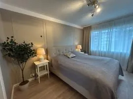 Stylish 3BR Apt Near Downtown
