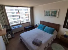 Apartamento Pet-Friendly, Piscina, Vista Cerro San Cristobal, Santiago