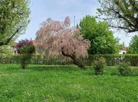 La Casa nel Parco