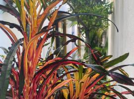 Pipa Guest House, hostel in Pipa