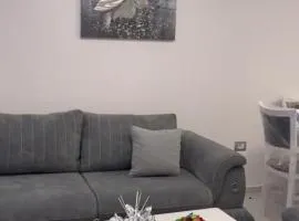 Vila Gjini