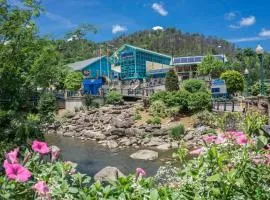 A Bear On The Ridge by American Patriot Getaways