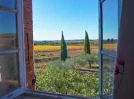 Holiday Home in Béziers with Pool and Vineyard