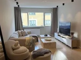 Modern Apartment