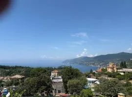 Garden Seaview Camogli