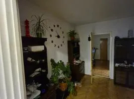 Victoriei Residence