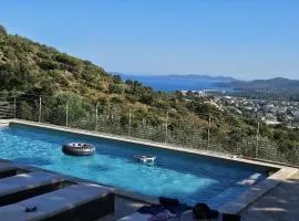 villa bormes les mimosas