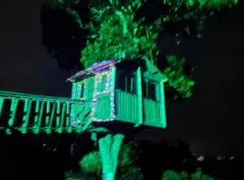 Luxury tree house at La meseta