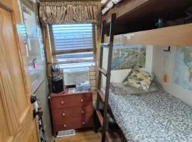 Squirrel House Room