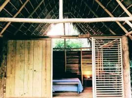 bungalows tropicaux Jardin exotique