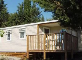 Mobil-home confortable avec terrasse - API-1-52-652