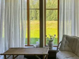 Eco-Built House With Lake Siljan Views