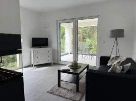 Living-Apartment-mit-Kamin-und-Terrasse