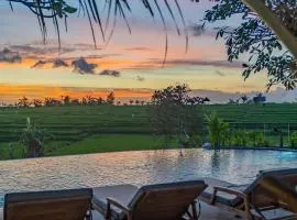 Padma Villa Center Canggu Rice paddies view