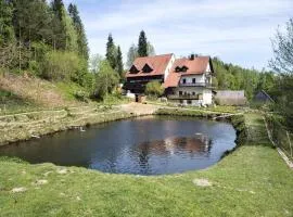 Alluring Apartment in Schönsee in the forest