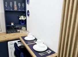 Silvery Studio 20