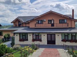 Casa Galu, guest house in Nicoreşti