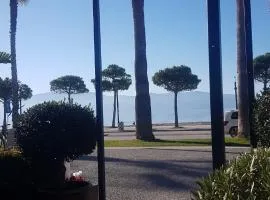 South Coast Apartments AL2