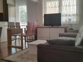 Batajnica centar
