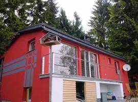 Ski & Hiking Forest Stay