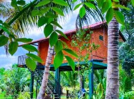 Tree Top View Tree House