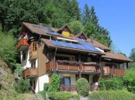 Ferienwohnung in Schiltach, hotel en Schiltach