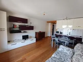 Appartement tout confort 4 pers, parking, vue village - FR-1-445-28