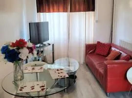 1 bed flat in Manchester near city centre