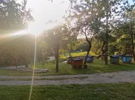 Siedlisko nad stawem