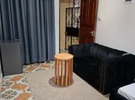 Studio Apartment Naivas Mwembe tayari Cbd
