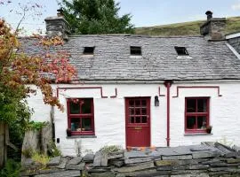Bryn Rhos Goch