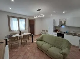 Albero di Giada
