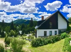 Apartments in Harrachov - Riesengebirge 2300