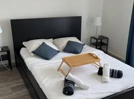 Grand appartement BREST pour max 11 personnes