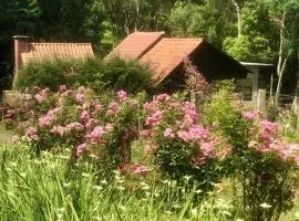 Chalé com Vista para Vinhedo e Natureza