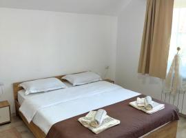 Pensiunea Axenia Ale