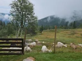 Magic View - Unspoiled nature - Summer mountain pasture with goats