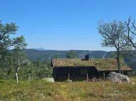Magic View - Unspoiled nature - Summer mountain pasture with goats