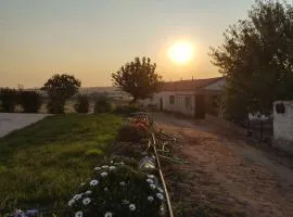 La Granja de Juli