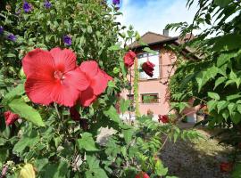 Family-Friendly Apartment, Hotel in Schallstadt