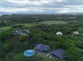 Alaya Jungle Mansion
