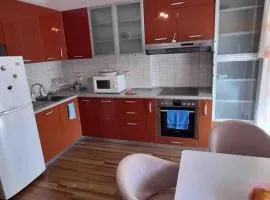 CozyFlat in the middle of Tirana