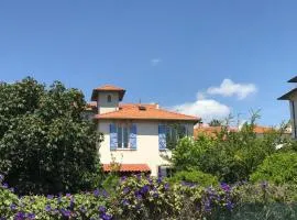 Villa cannoise en bord de mer