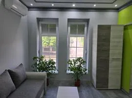 White House Apartman Miskolc, Green Room